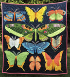 Butterfly Specimens art quilt – butterfly specimens